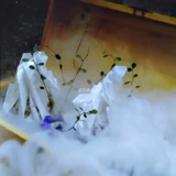 Творческая бумага молекулярная еда творческая художественная концепция блюда, творческая огня сжигания бумаги пламенная бумага Волшебная бумага Волшебная бумага