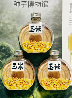 幼儿园种子博物馆环创材料盒学校走廊环境创设布置标本墙种子盒