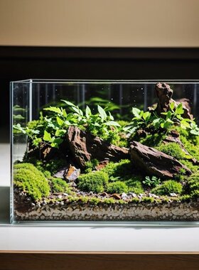 生态水陆桌面鱼缸真绿植办公造景全套家用景观流水养乌龟蜗牛宠物