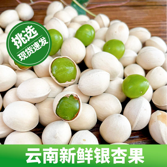 Tengchong old variety shelled glutinous ginkgo