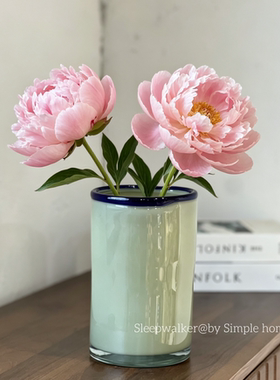 白露74｜玻璃花瓶摆件客厅插花装饰品家居花瓶 ins风奶油风花瓶