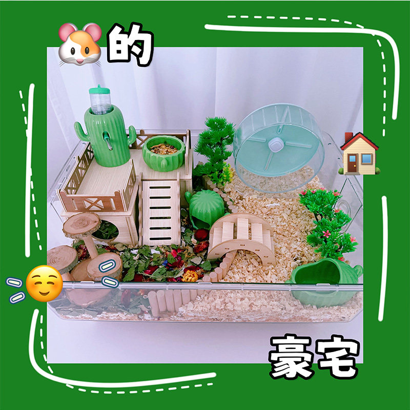 仓鼠笼子金丝熊造景水晶全透明饲养箱加厚加硬刺猬芦丁鸡62宠物箱,淘宝优惠券,粉丝福利购,淘宝优惠卷