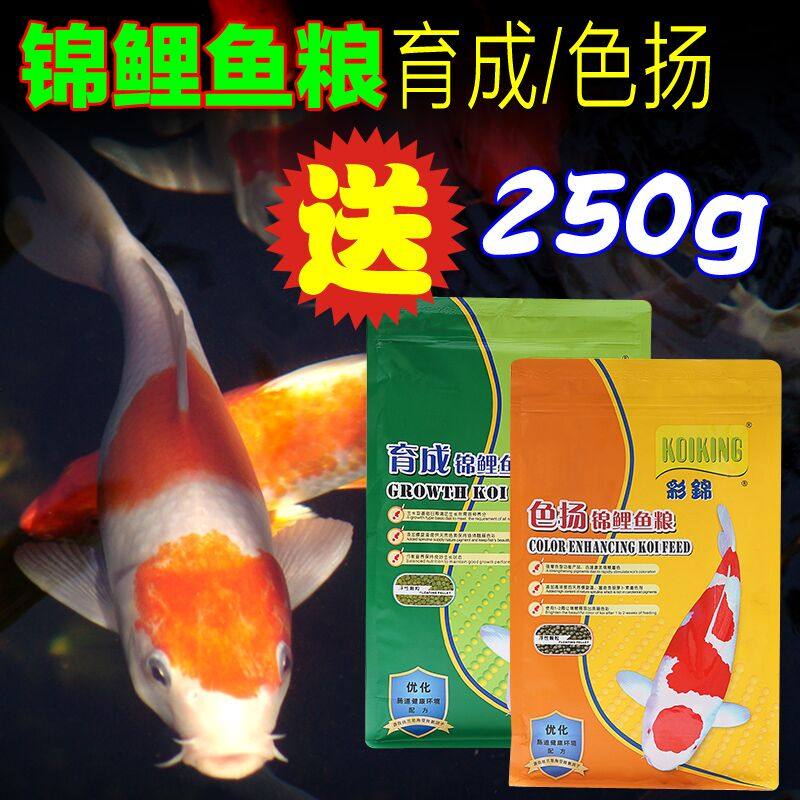 彩锦王锦鲤鱼育成螺旋藻饲料鱼粮 吴巍宠物用品观赏鱼饲料