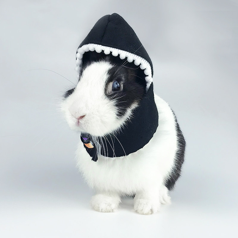 宠物兔兔拍照装饰衣服兔子头饰小帽子新年圣诞节万圣节日衣服饰品,淘宝优惠券,粉丝福利购,淘宝优惠卷