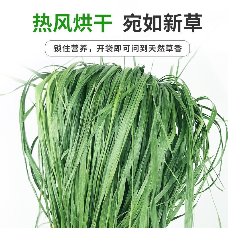 2023年新烘干提摩西草烘干提草北提500g 兔子豚鼠龙猫干草牧草 - 图0