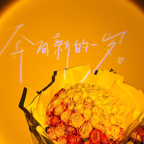 生日快乐氛围灯投影灯装饰场景布拍照道具ins投影仪网红成人派对 - 图2