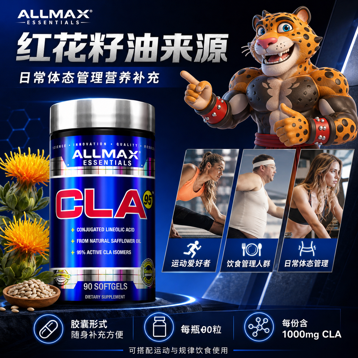 豹哥健身 ALLMAX内脂杀手CLA共轭亚油酸减内脏脂肪刮刀王碳水克星