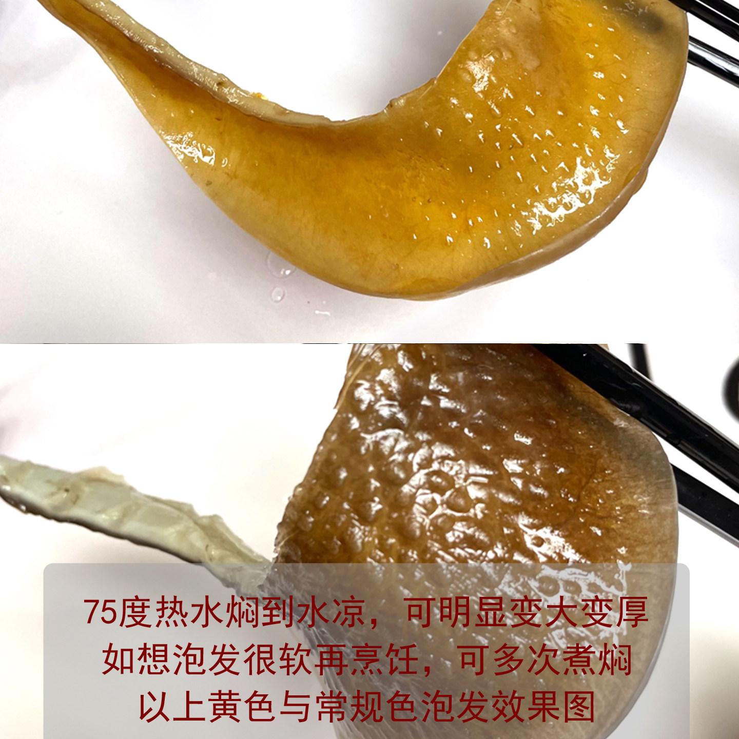 天然甲鱼水鱼团鱼裙边唇边干货煲汤焖煮炒营养好味道100-15头靓货,淘宝优惠券,粉丝福利购,淘宝优惠卷