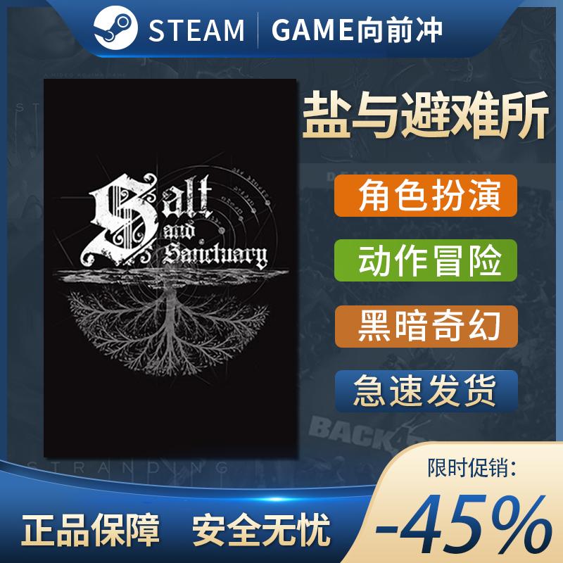 盐与避难所 Salt and Sanctuary STEAM正版PC英文 黑暗奇幻 冒险 - 图0