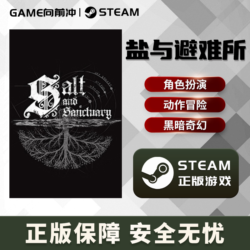 盐与避难所 Salt and Sanctuary STEAM正版PC英文黑暗奇幻冒险-图3