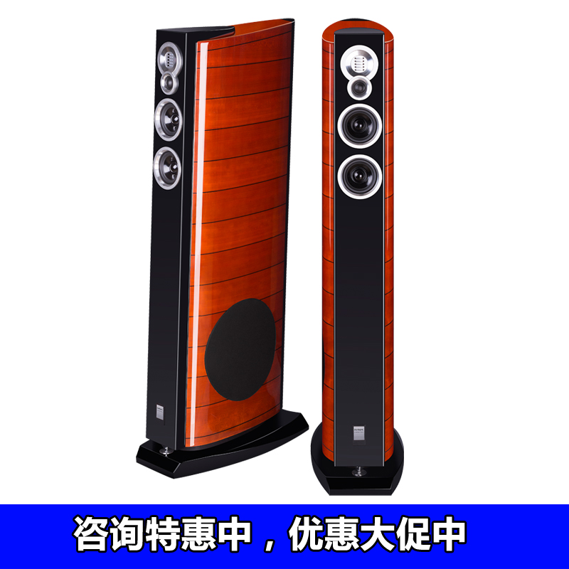 原装爱浪DX-5发烧HIFI家庭影院落地式主音箱前置高保真正品包邮-图0