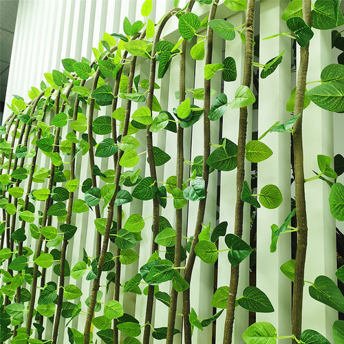 仿真藤条垂吊假树空调管道装饰 吊顶绿萝藤蔓植物假花藤遮挡绿叶 - 图2