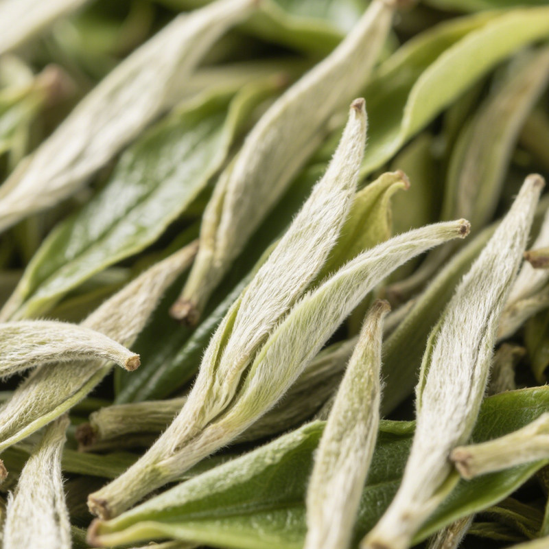 2025年白毫银针特级福鼎白茶特级白毫银针老白茶点头镇茶叶老白菜 - 图1