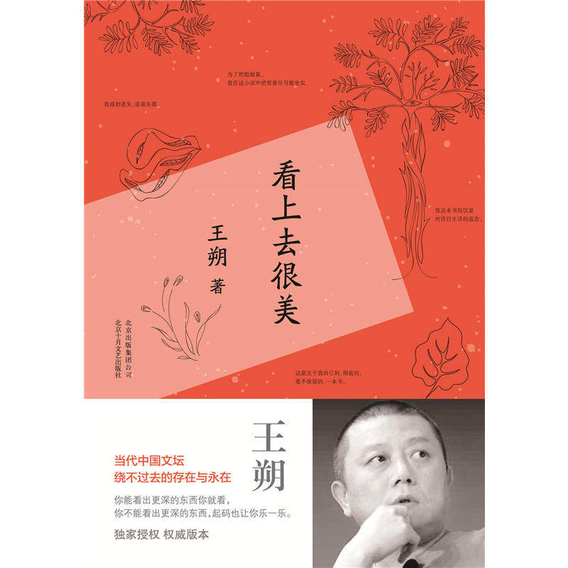 正版现货新经典文化王朔作品精选:看上去很美王朔经典作品王朔著_虎窝淘