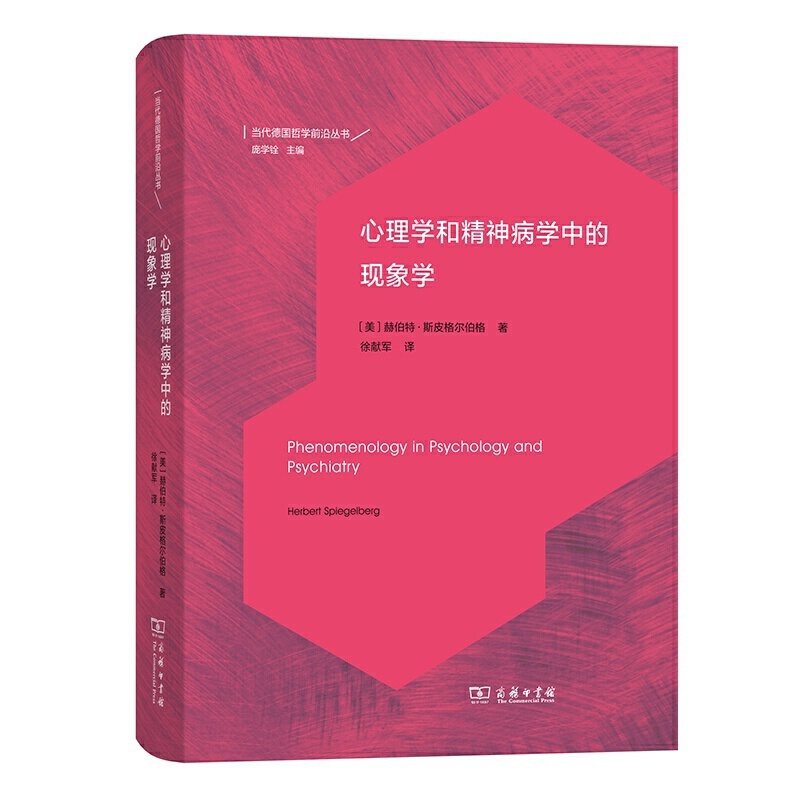 正版当代德国哲学前沿丛书11册自然自明性的失落+哲学与生活形式+在康德与黑格尔之间+否定辩证法+生活世界之网等商务印书馆-图3