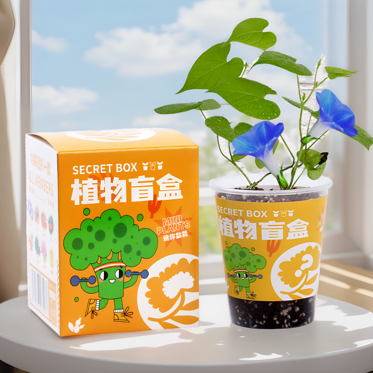 儿童种植盲盒玩具幼儿园观察植物盆栽小学生种植发芽种子创意迷你 - 图0