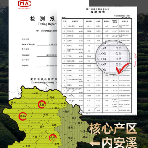 【2026春茶】五虎正宗安溪铁观音茶叶特级浓香型碳培铁观音乌龙茶 - 图3