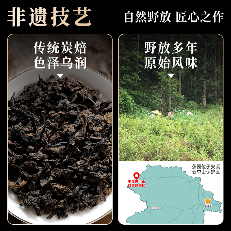 五虎野龙特级野放乌龙茶浓香型安溪铁观音茶叶散茶独立泡袋礼盒装 - 图0