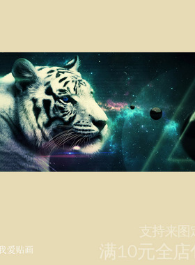 老虎森林照片海报墙贴画