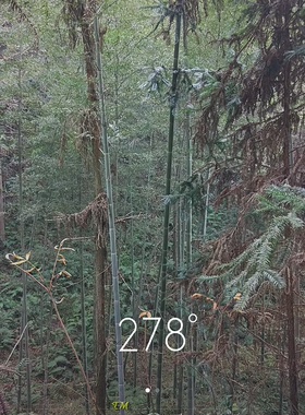 古代生态手工笔筒储物罐