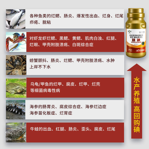 30%精碘金聚维酮碘水产鱼塘消毒杀菌 鱼药甲鱼虾蟹蛙鳝龟消毒液剂 - 图1