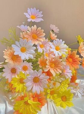 ins风小雏菊10枝混色50cm洋甘菊