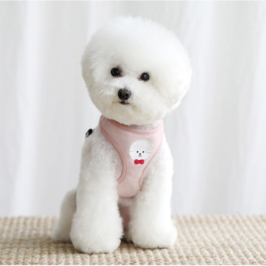 Vest type dog leash Teddy small bear Pomeranian