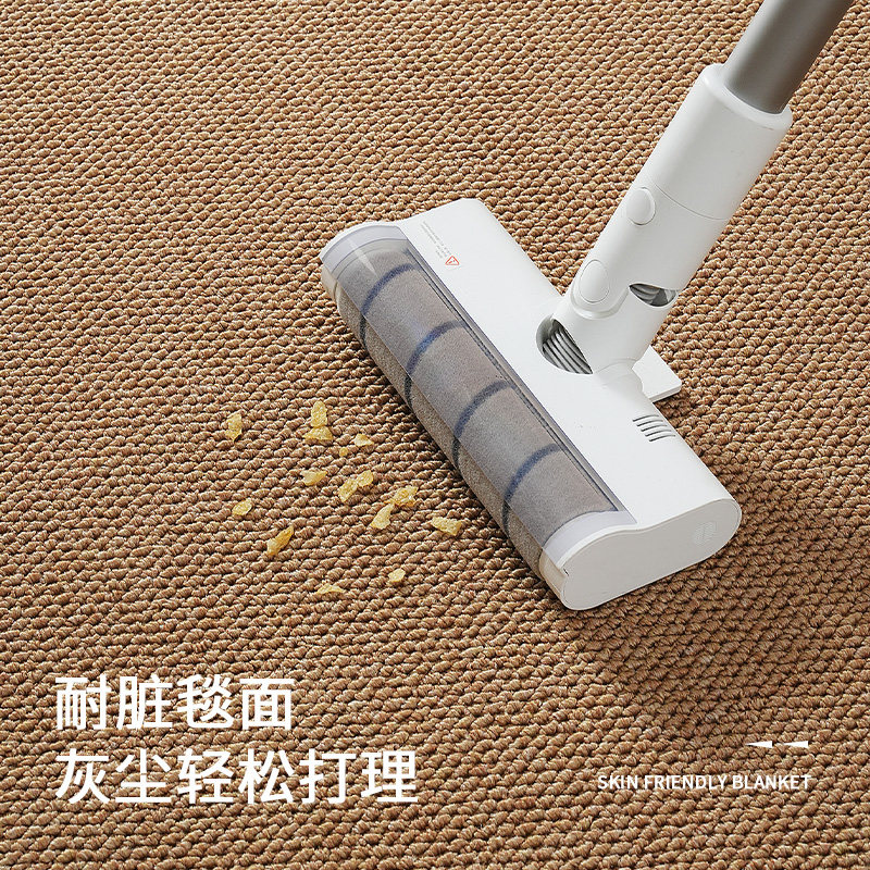 Anti-cat scratch living room bedroom bedside carpet