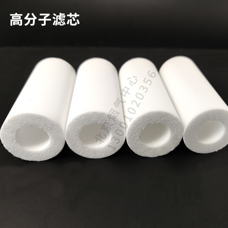 cems FP-2T B090202019前置保护过滤器陶瓷玻纤PE四氟高分子滤芯