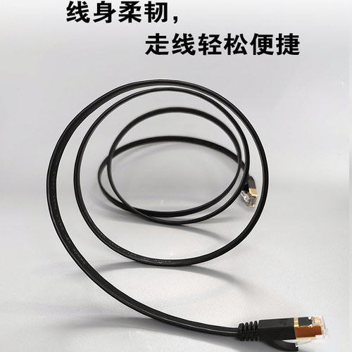 三泽七类双屏蔽网线 无氧铜CAT7万兆成品电脑扁线镀金头 0.2/30米 - 图2
