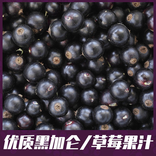 原装进口Ribena利宾纳浓缩黑加仑子汁1000ml草莓果汁冲饮浓浆饮料 - 图0