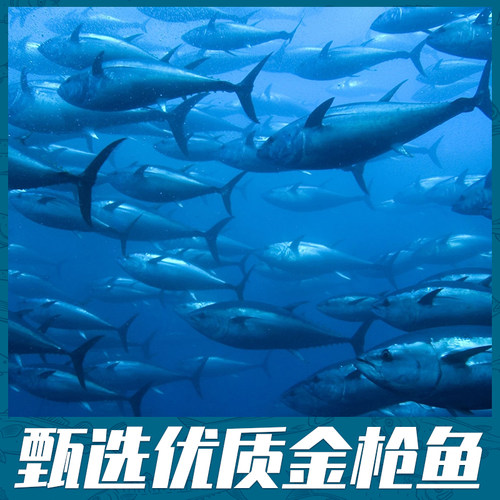 正晶牌金枪鱼罐头185g油浸吞拿鱼代餐沙拉寿司即食盐水浸鱼肉罐头 - 图0