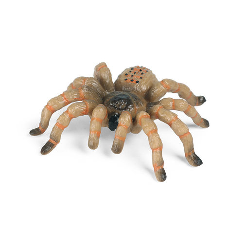 儿童仿真动物玩具塑胶昆虫蜘蛛模型亚马逊巨人食鸟蛛恶搞男孩摆件 - 图3