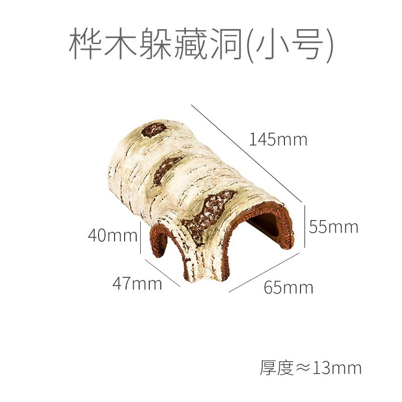 REPTI ZOO稀罕掌心适合小孩子养的宠物网红小学生懒人躲避,淘宝优惠券,粉丝福利购,淘宝优惠卷