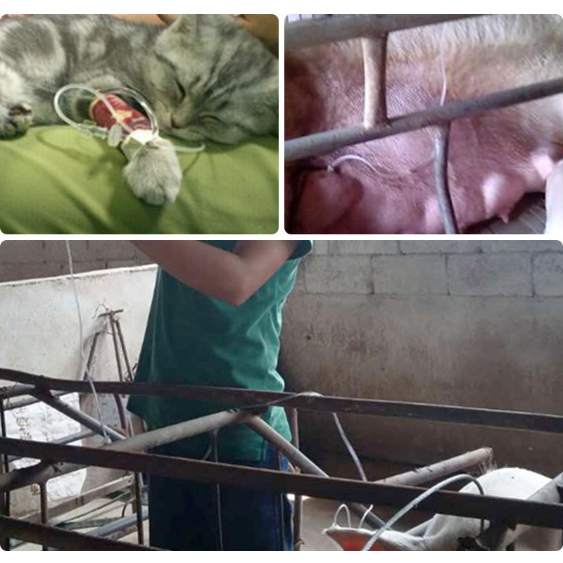 兽用输液器 一次性医用吊针点滴管 浇花宠物冲洗猪牛羊静脉注射管,淘宝优惠券,粉丝福利购,淘宝优惠卷