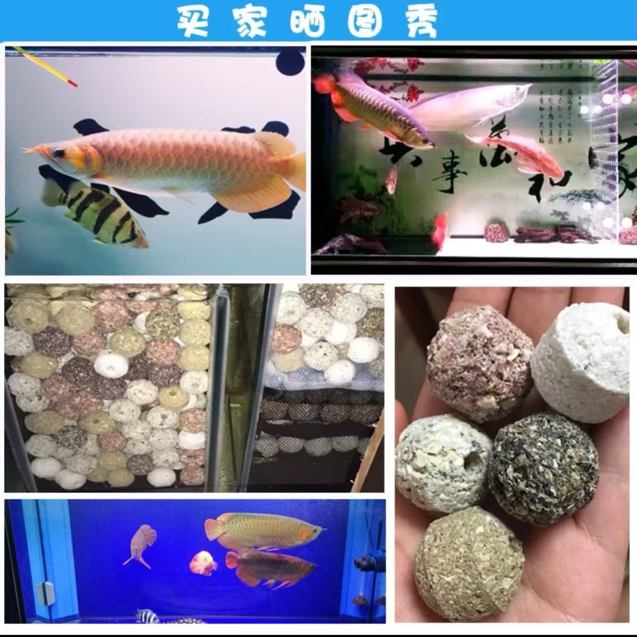 台湾大拇指来宝丸材料套装水族底滤过滤方砖龙鱼硝化细菌屋球培菌,淘宝优惠券,粉丝福利购,淘宝优惠卷