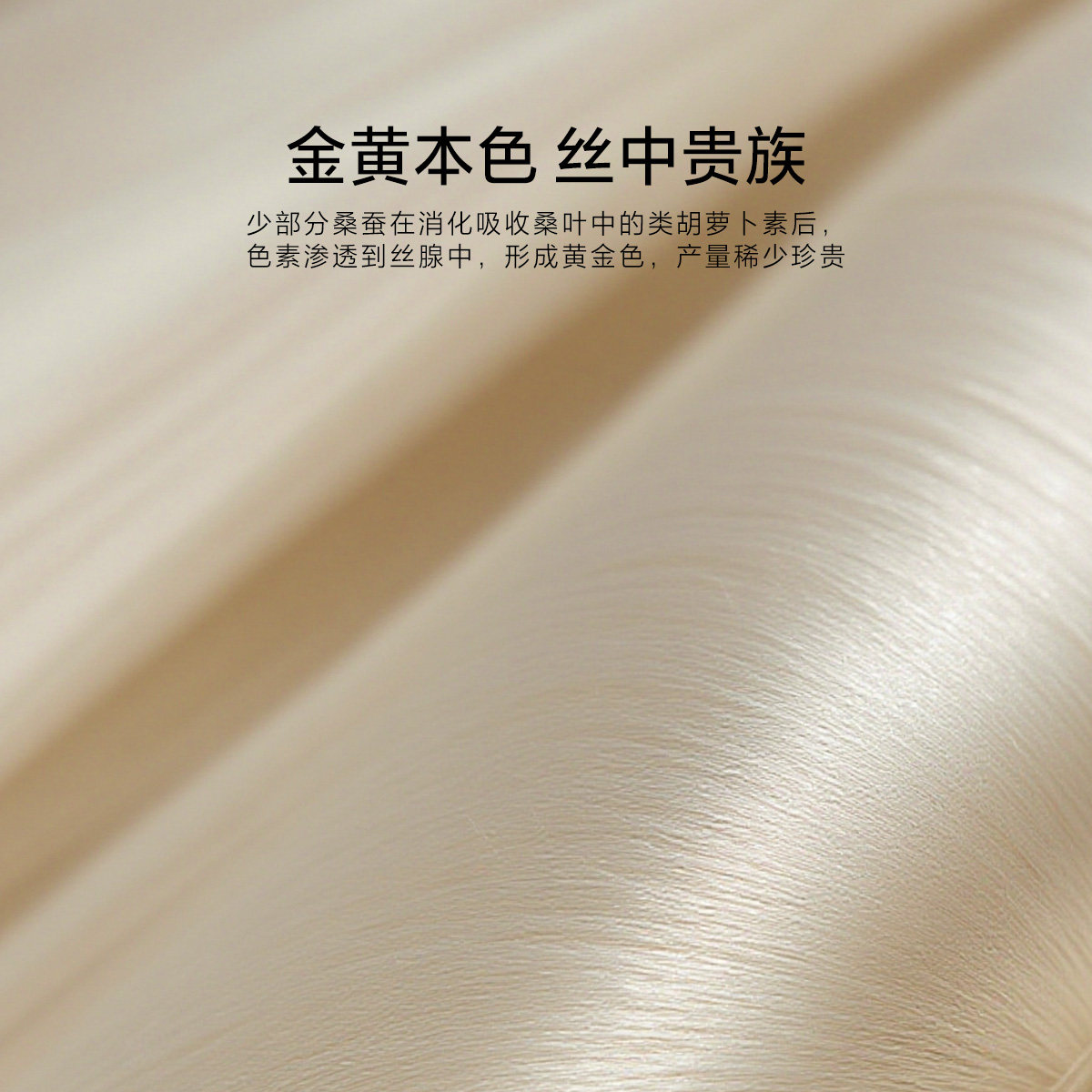 水星家纺A类金桑蚕丝复合枕抑菌轻奢提花枕头单人枕芯呵护颈椎,淘宝优惠券,粉丝福利购,淘宝优惠卷