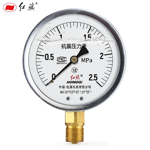 红旗牌YTN-100径向耐震压力表 负压真空水油液气压1.6精度M20接头 - 图3