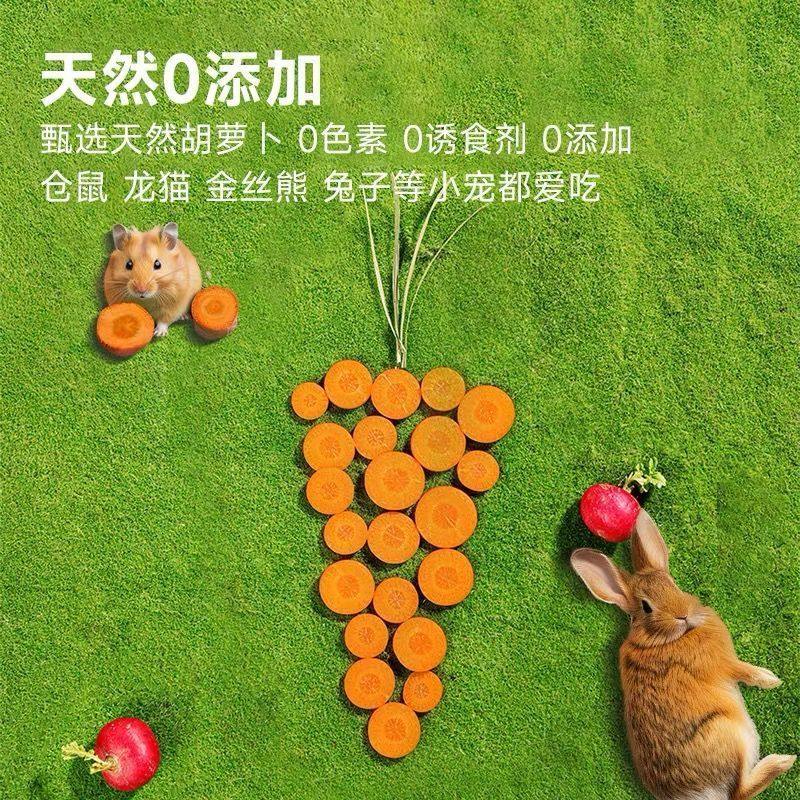 仓鼠零食胡萝卜磨牙兔子龙猫金丝熊荷兰猪花枝鼠磨牙齿增肥全套,淘宝优惠券,粉丝福利购,淘宝优惠卷
