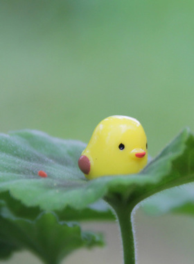 时光苔藓微景观摆件小鹿奶牛