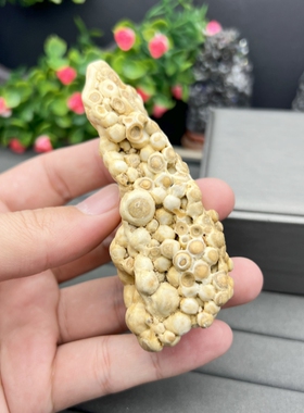 白龙宫舍利吊坠原矿跳珠