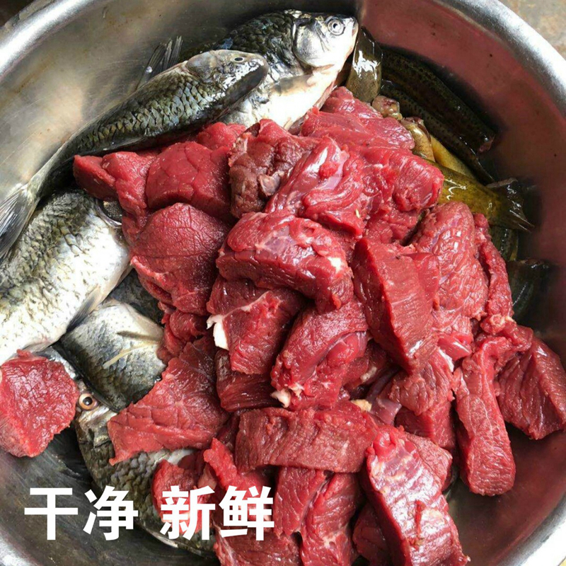 白子画精品手工画眉斗鸟提性饲料昆虫打口专用鸟食收身上力壮膘王-图1