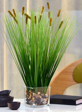 小清新仿真植物盆栽室内客厅