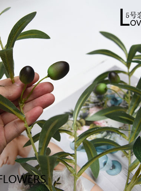 橄榄叶绿色植物拍摄婚庆假树枝