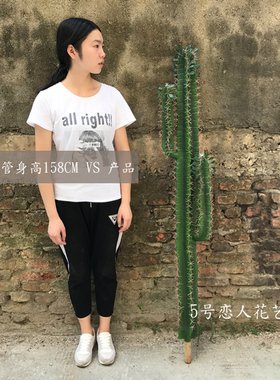 大型仿真北欧植物落地盆栽仙人掌