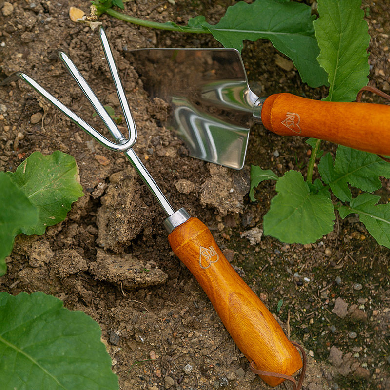 爱丽思园艺小铲子套装不锈钢种植挖土家用赶海铁锹铲种菜养花工具,淘宝优惠券,粉丝福利购,淘宝优惠卷