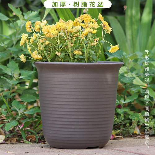 爱丽思阳台大口径塑料加厚花盆树脂兰花月季盆爱丽丝ZEN厂家直销 - 图3
