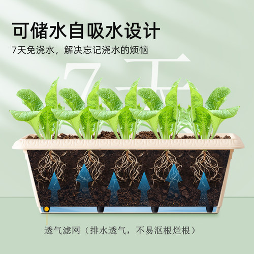 爱丽思长条花盆塑料大号长方形阳台种菜专用盆草莓种植盆栽爱丽丝 - 图0