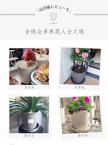 爱丽思阳台大口径塑料加厚花盆树脂兰花月季盆爱丽丝ZEN厂家直销 - 图2
