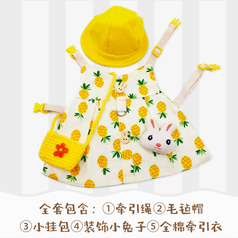 宠物兔子衣服牵引绳兔兔荷兰猪垂耳兔幼兔侏儒兔装饰品服饰帽子-图2